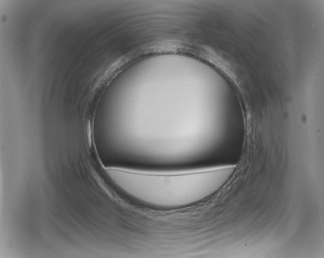 X0000080690013200612150823