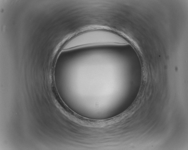 X0000080690015200612150822