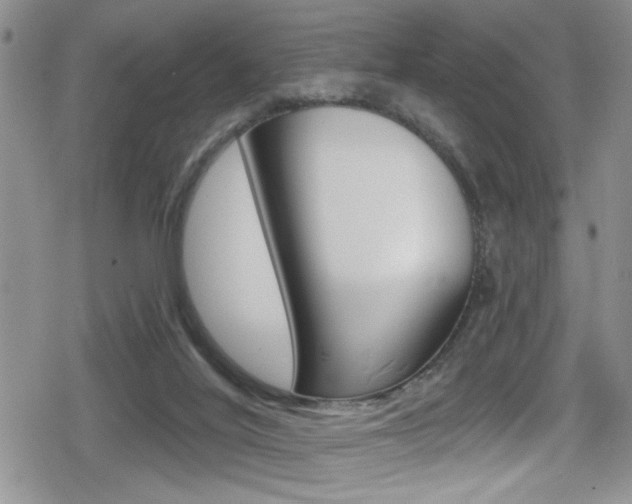 X0000080690020200612150822