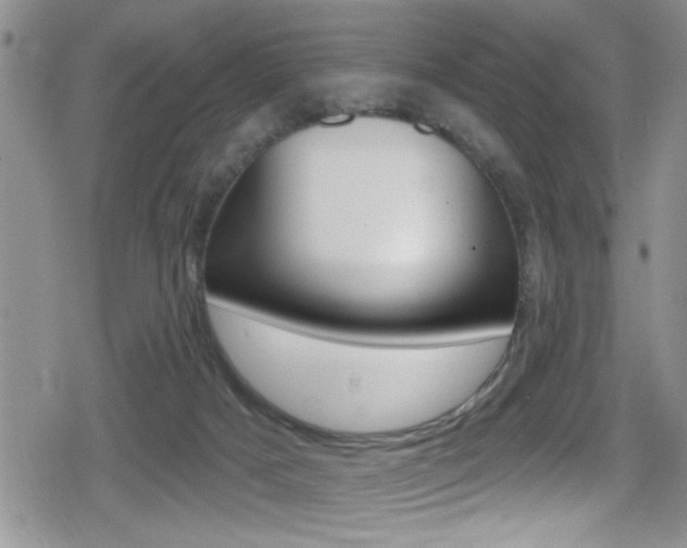 X0000080690025200612150822