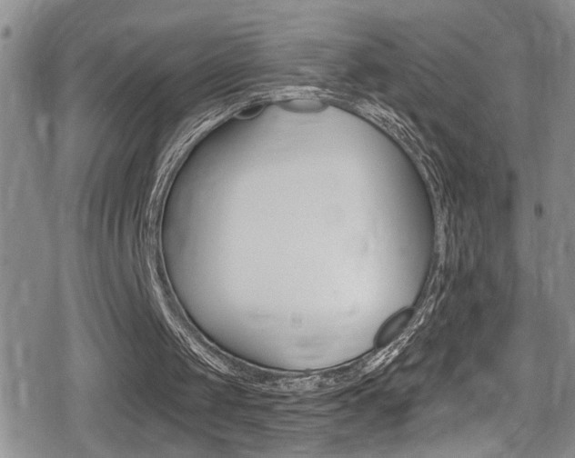 X0000080690049200612150821