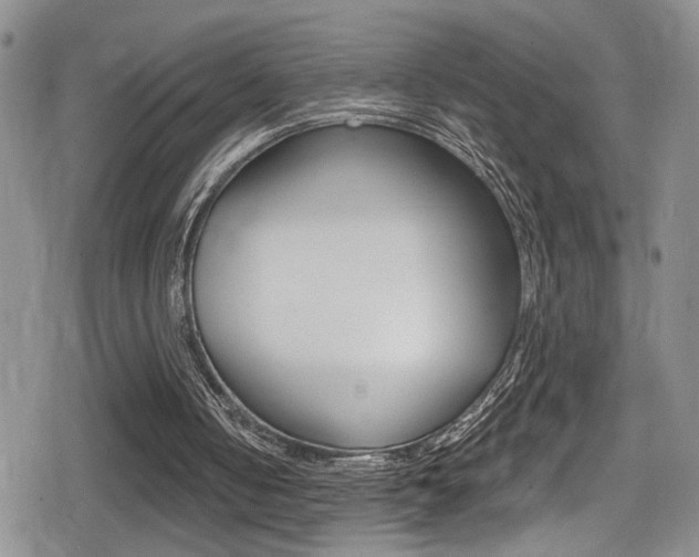 X0000080690050200612150821