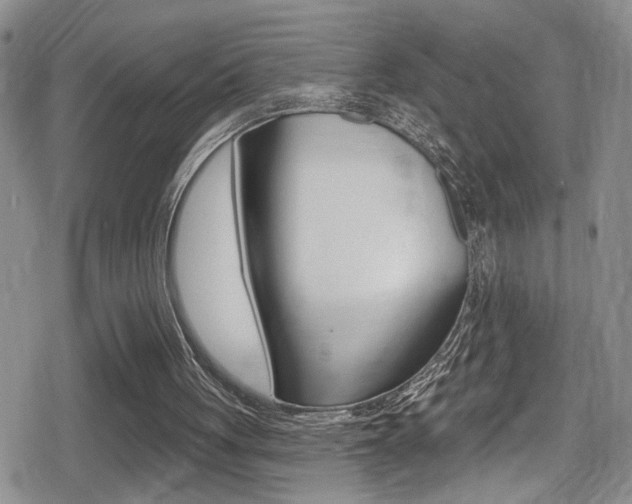 X0000080690051200612150821