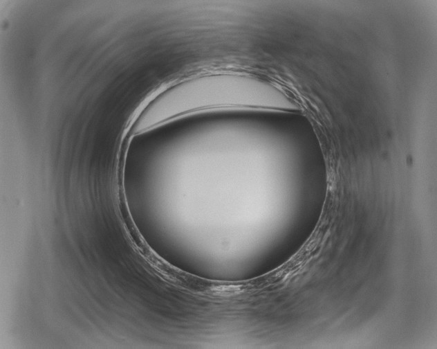X0000080690052200612150821