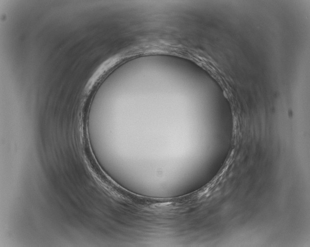 X0000080690054200612150821