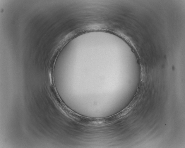 X0000080690061200612150821