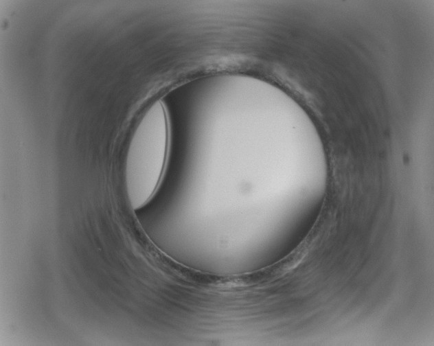 X0000080690067200612150821