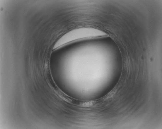 X0000080690084200612150822