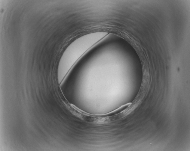 X0000080690096200612150822