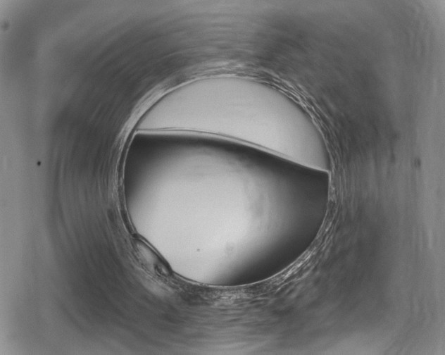 X0000080690099200612150821