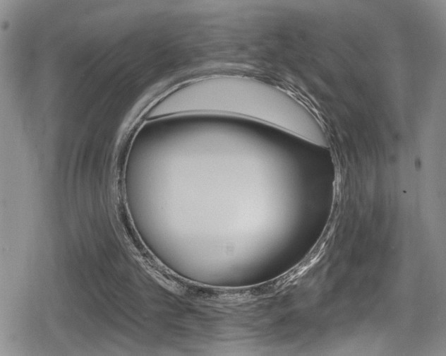 X0000080690101200612150821