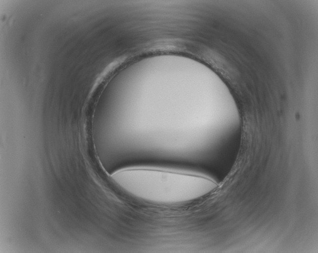 X0000080690112200612150821