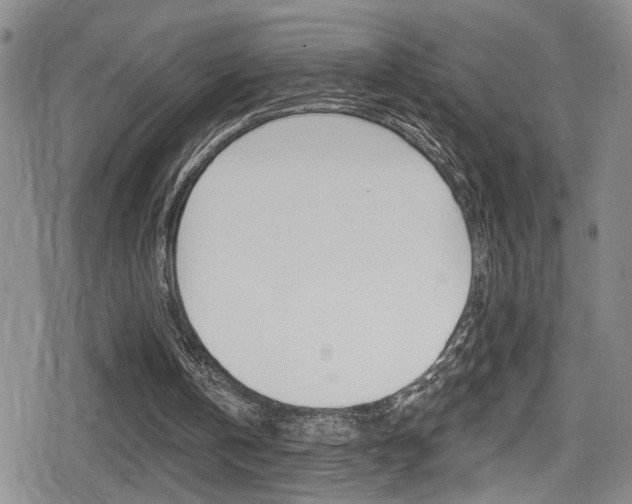 X0000080690146200612150820