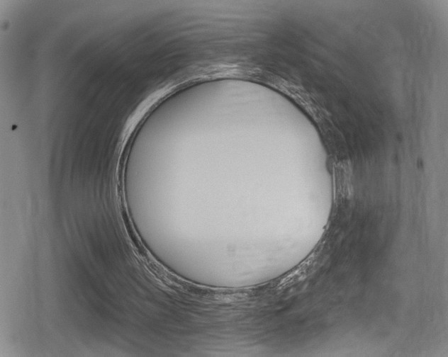 X0000080690147200612150820