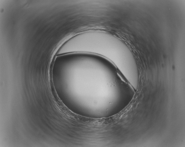 X0000080690148200612150820