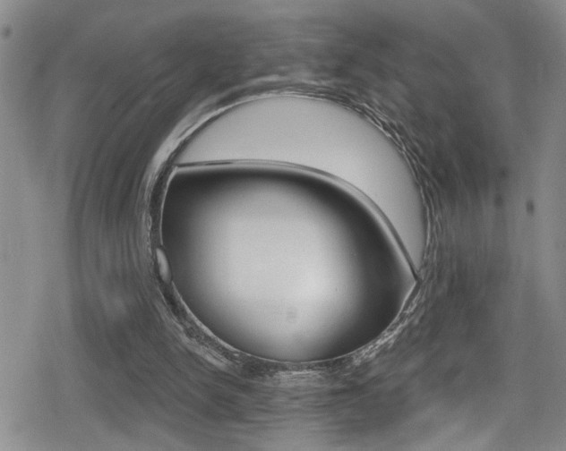 X0000080690150200612150820