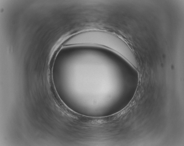 X0000080690152200612150820