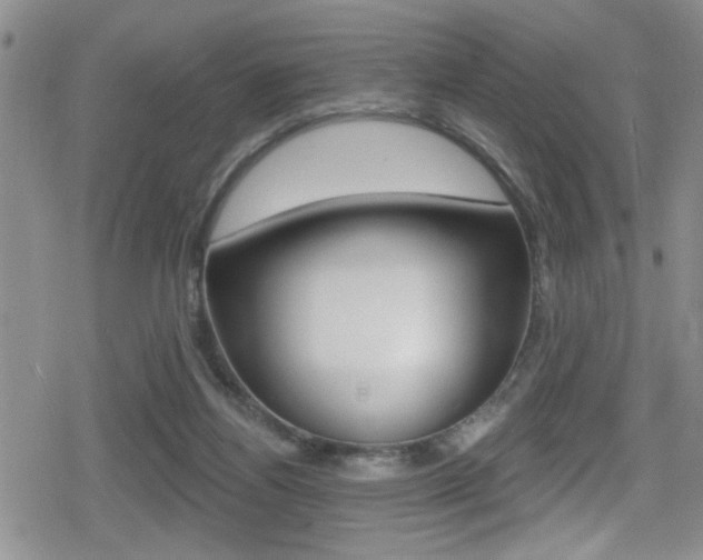 X0000080690164200612150820