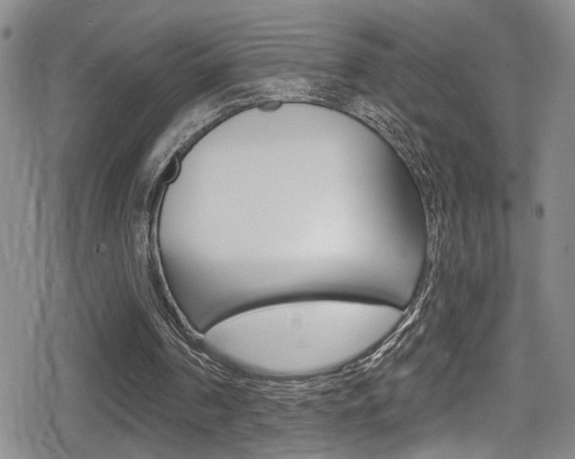 X0000080690194200612150820