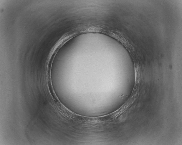 X0000080690195200612150820