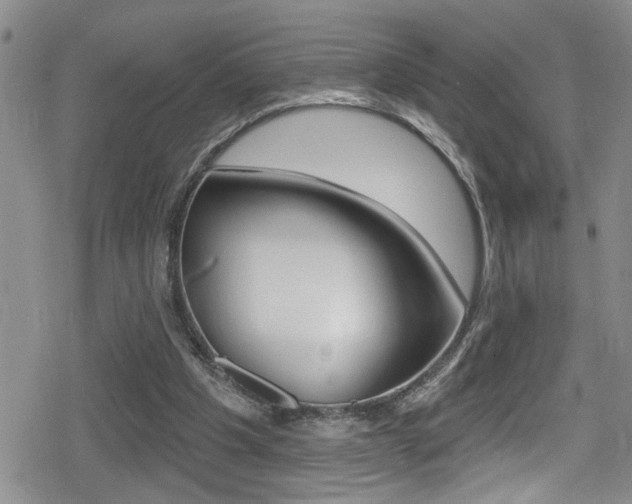 X0000080690201200612150819