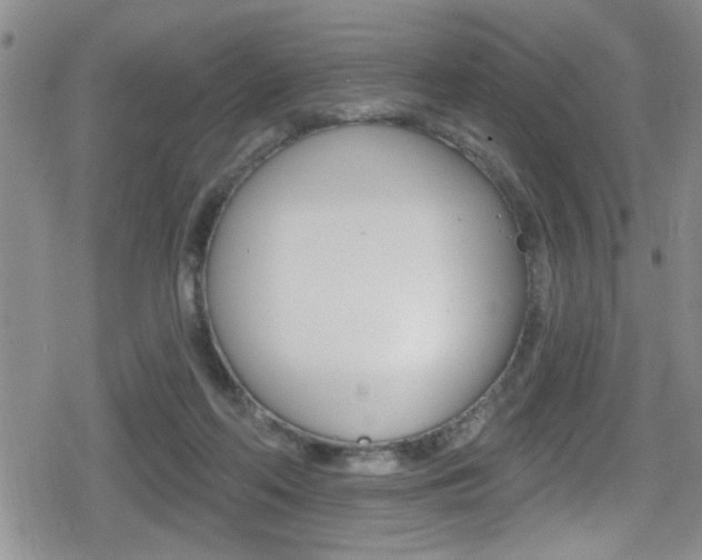 X0000080690214200612150819