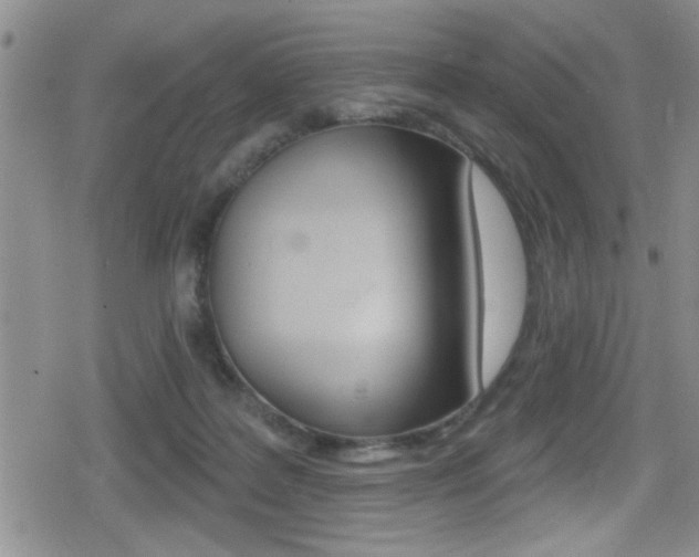 X0000080690219200612150819