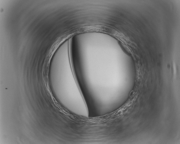 X0000080690241200612150818