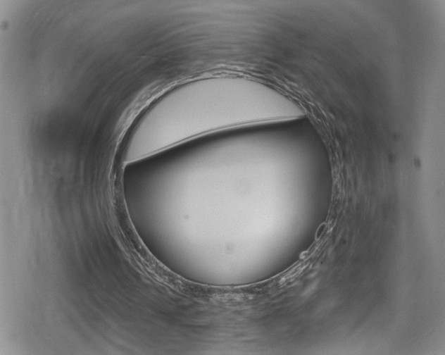 X0000080690242200612150818