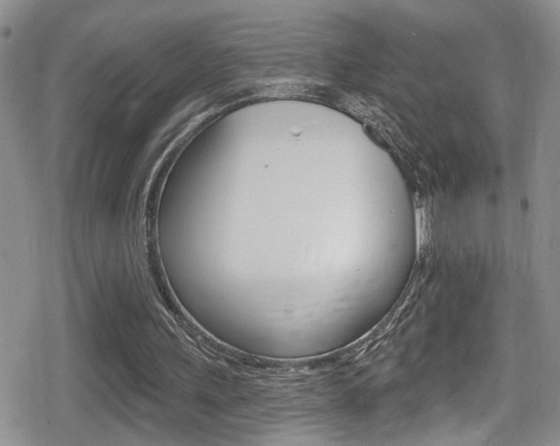 X0000080690243200612150818