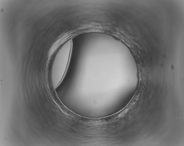 X0000080690245200612150818