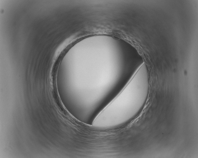 X0000080690246200612150818
