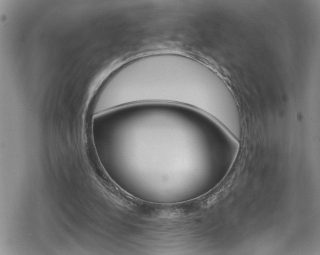 X0000080690248200612150818