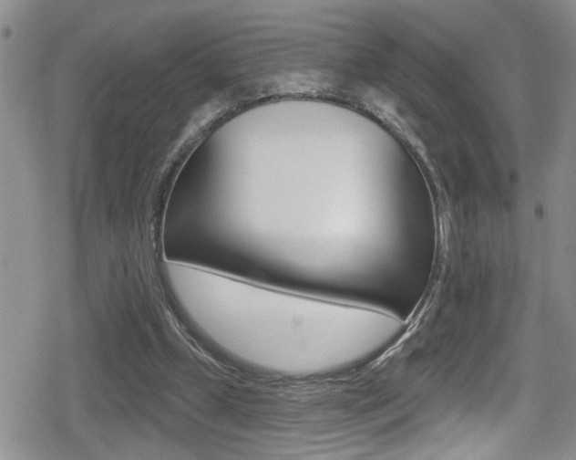 X0000080690249200612150818