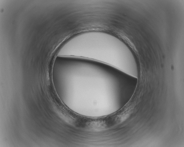 X0000080690251200612150818