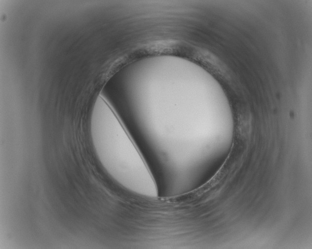 X0000080690259200612150818