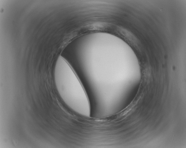 X0000080690265200612150818