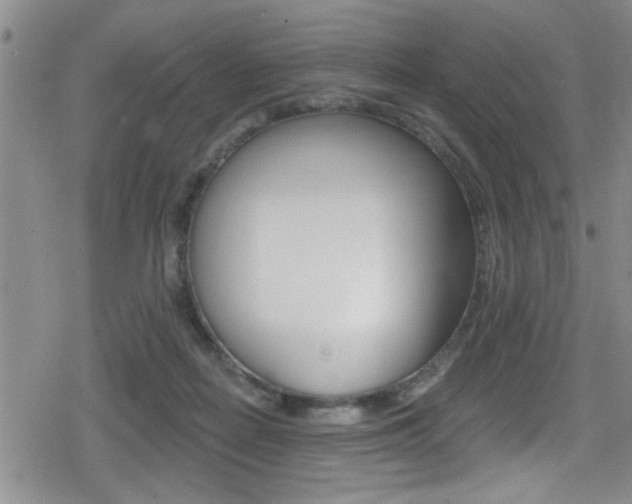 X0000080690266200612150818