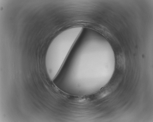 X0000080690267200612150818