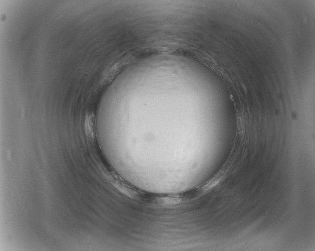 X0000080690286200612150819