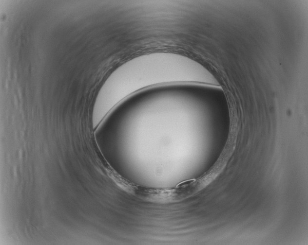 X0000080690288200612150819