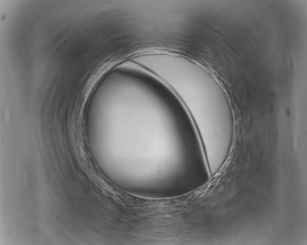 X0000080690289200612150818