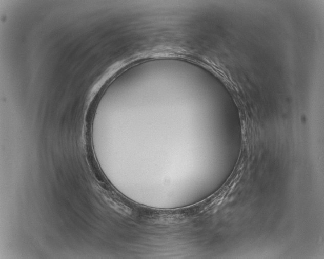 X0000080690292200612150818