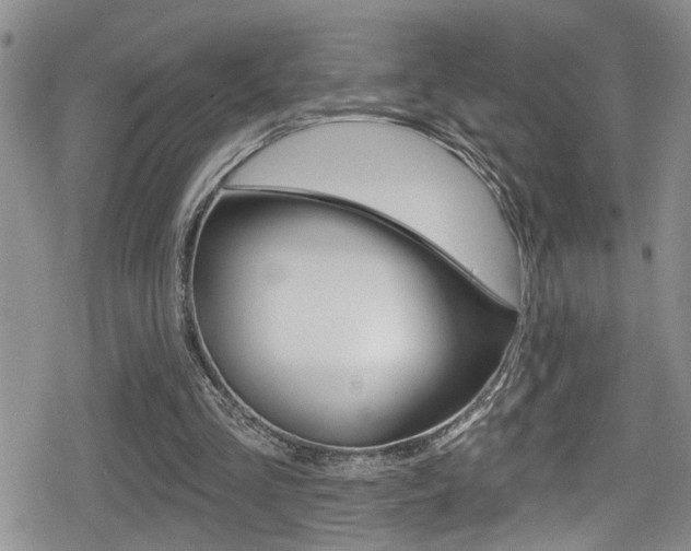 X0000080690293200612150818