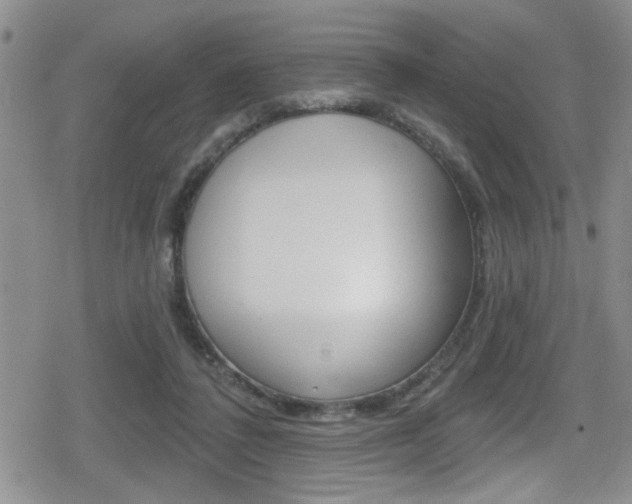 X0000080690308200612150818