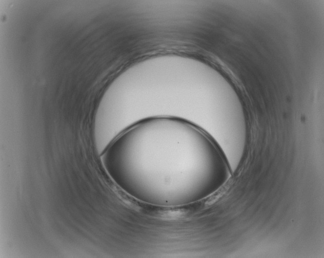 X0000080690313200612150818