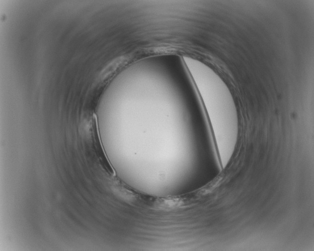 X0000080690329200612150817
