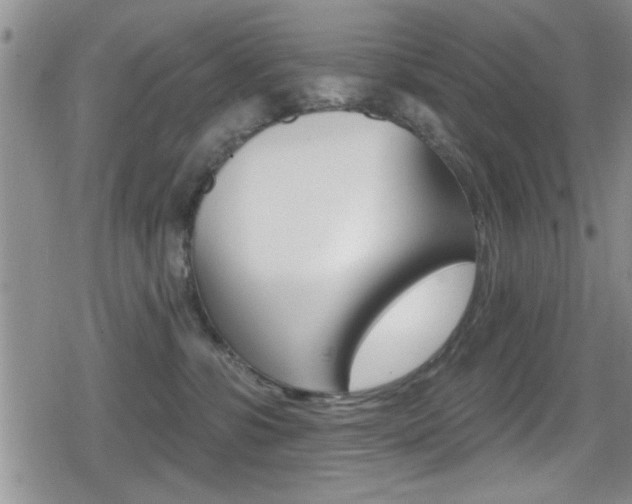X0000080690331200612150817