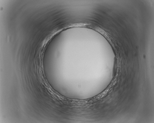 X0000080690337200612150817