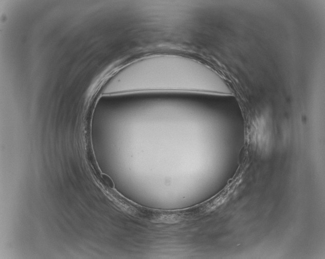 X0000080690341200612150817